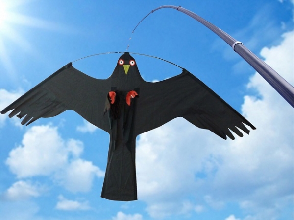 Product Image for Fugleskremsel, drage med mast