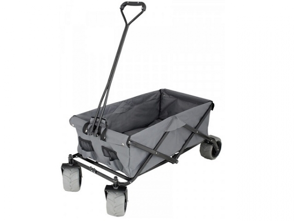 Product Image for Skrinda Beach Car Sunny