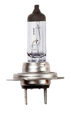 Glødelampe Halogen 12V 55W