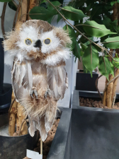 Ugglan Ruggugla  på pinne