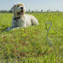 Jordskrue for hund med kabel på 4,5 m